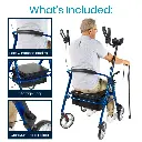 Upright Walker, Series T (3).webp